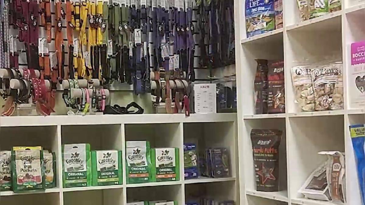 Pet Supplies in Great Barrington MA, Pawsh Buddies