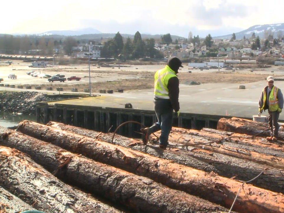 Logs Fall Protection Safety Video - Western