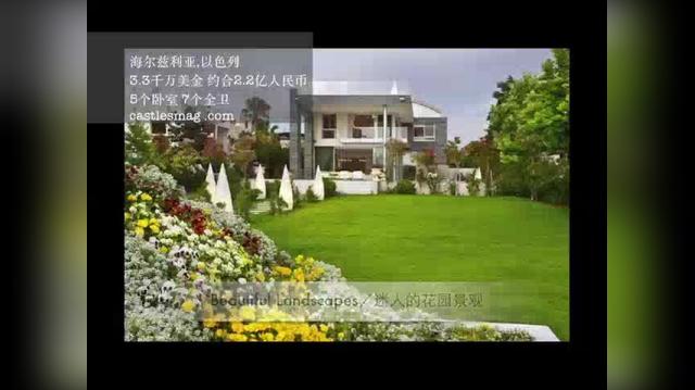 Chinese-Herzliya Pituach Israel