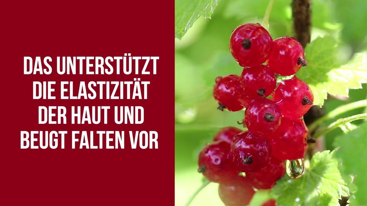 Die 5 besten Lebensmittel für die Haut