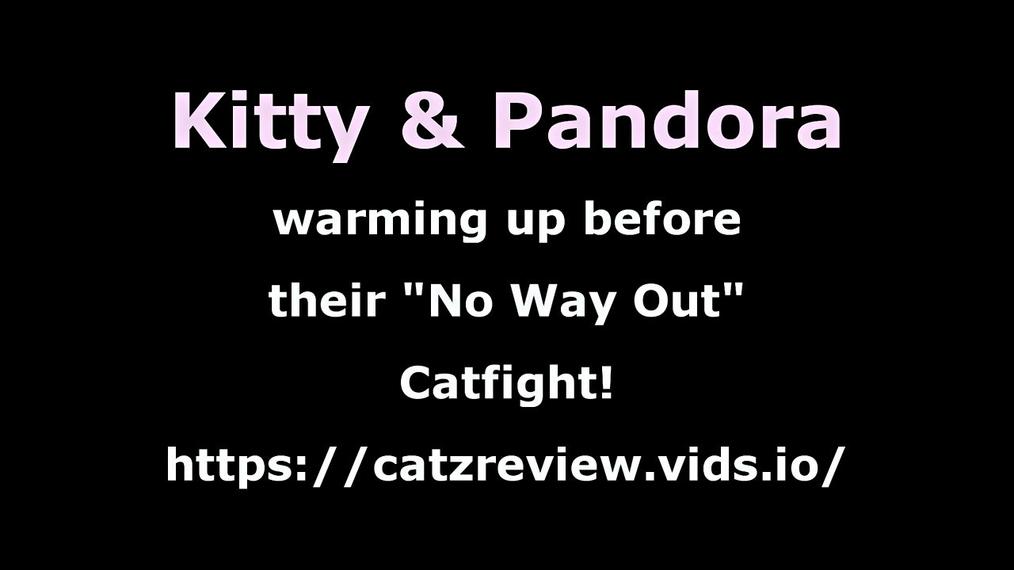 Warm-up - Kitty vs Pandora!