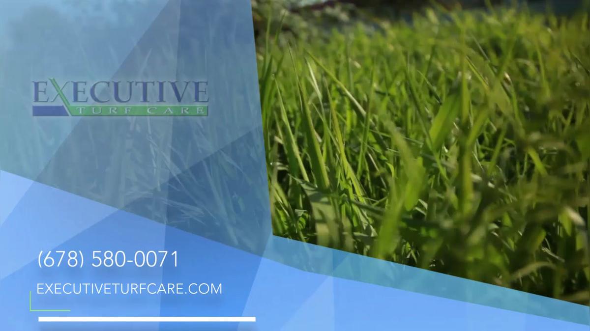Lawn Care in Lawrenceville GA, Executive Turf Care