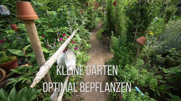 Kleine Gärten optimal bepflanzen