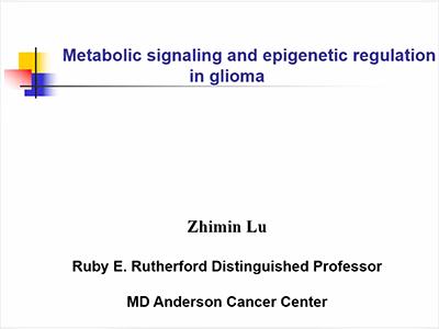 Metabolic Signaling and Epigenetic Regulation in Glioma
