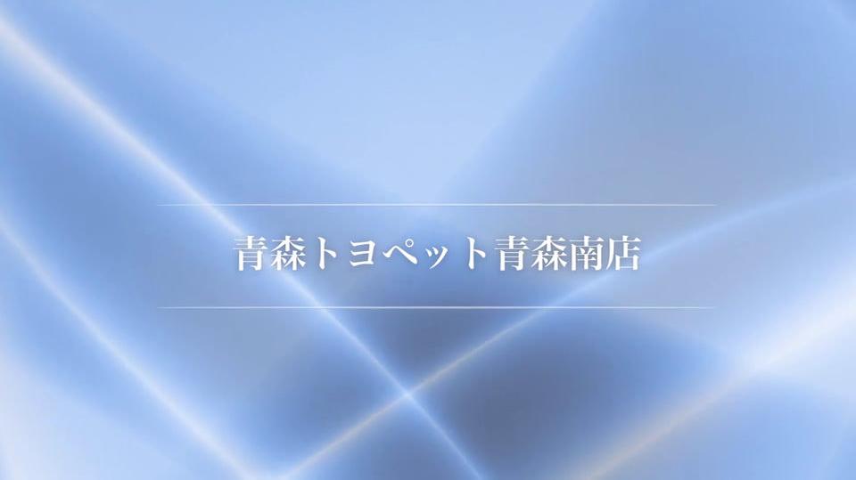 青森トヨペット殿　店長インタビュー