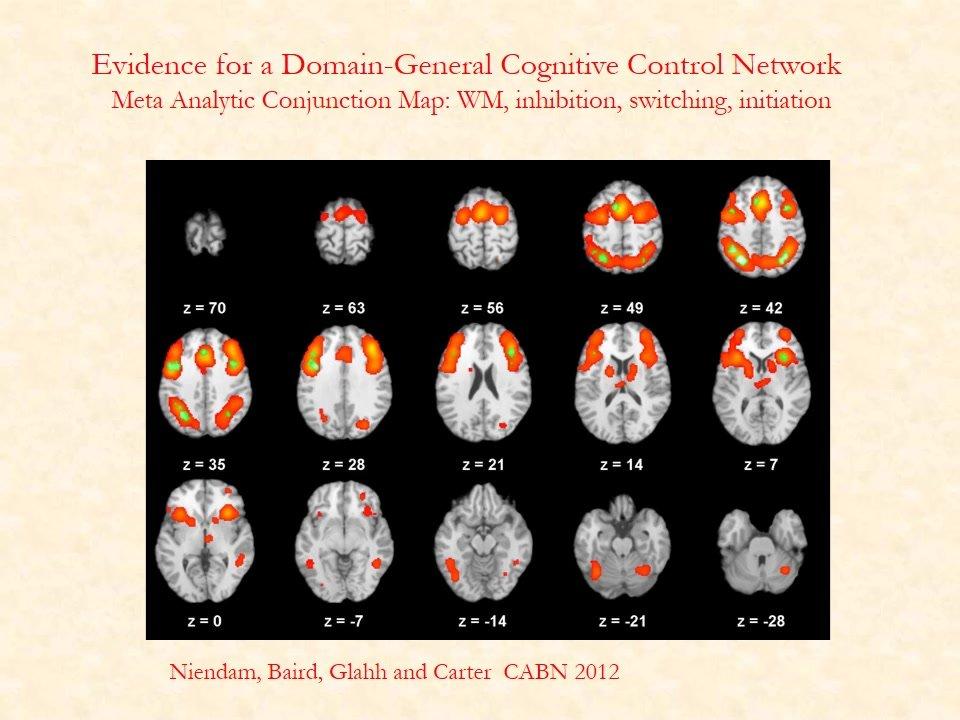 Cameron Carter &quot;ACNC 2013 Keynote: Understanding Cognitive and Emotional Processing in Schizophrenia&quot;