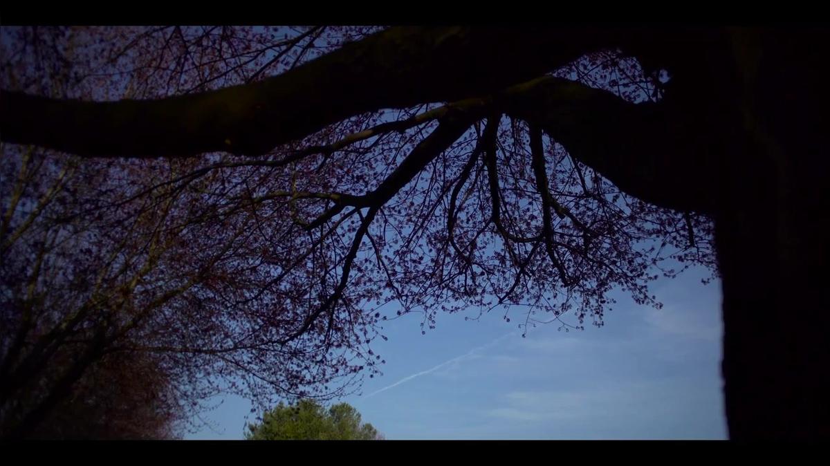 Vista - Journeys of Hope