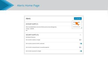 Transaction Alerts
