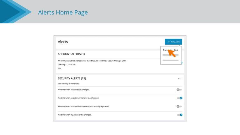 Transaction Alerts