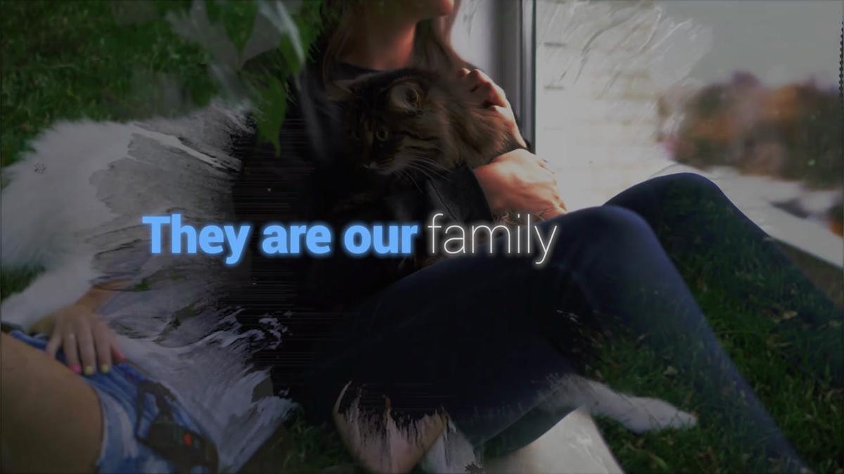 Pet Casket in Burleson TX, Newnak's Pet Caskets