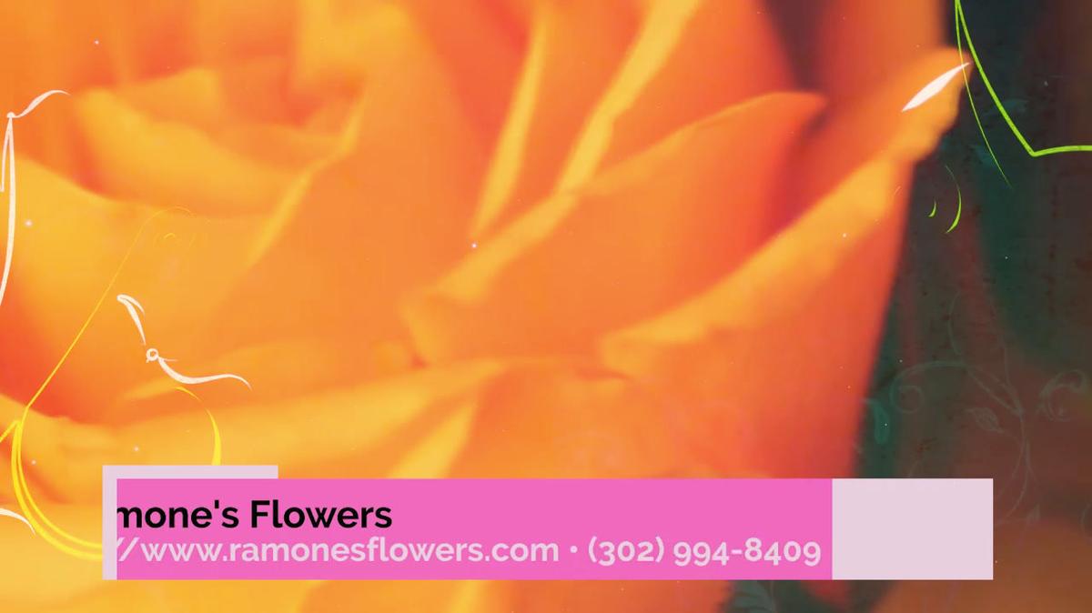 Florist in Wilmington DE, Ramone's Flowers