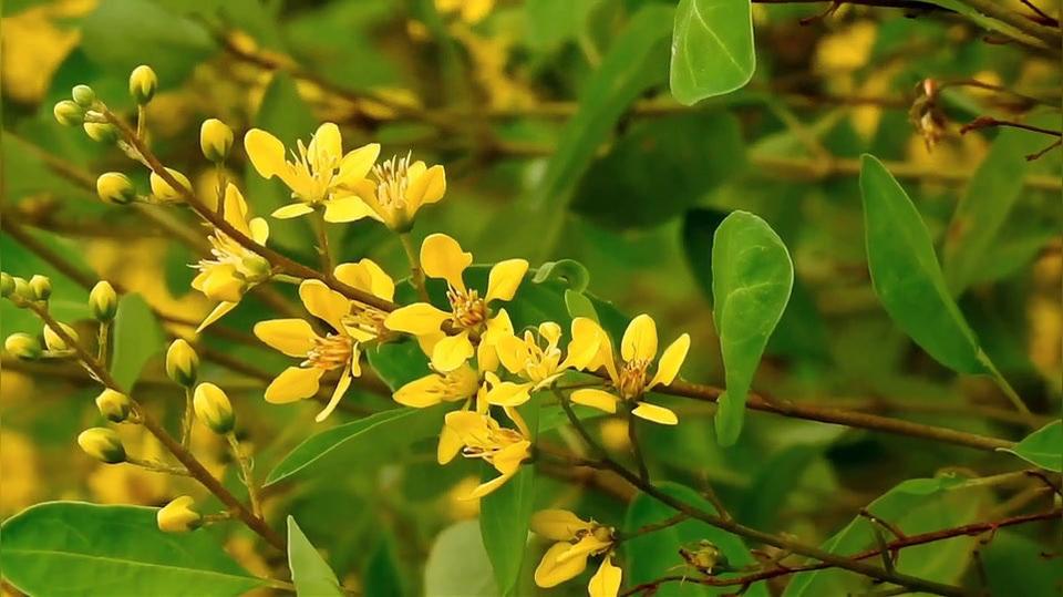 test in Irvine CA, Landscape Design