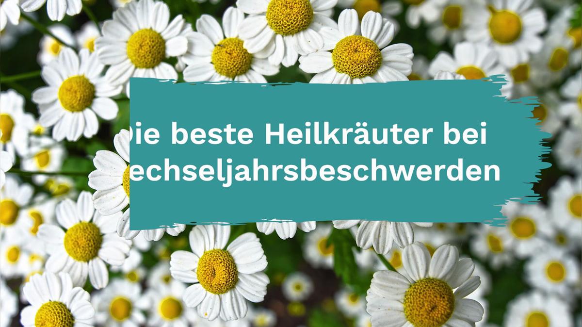 Die besten Heilkräuter bei Wechseljahrsbeschwerden