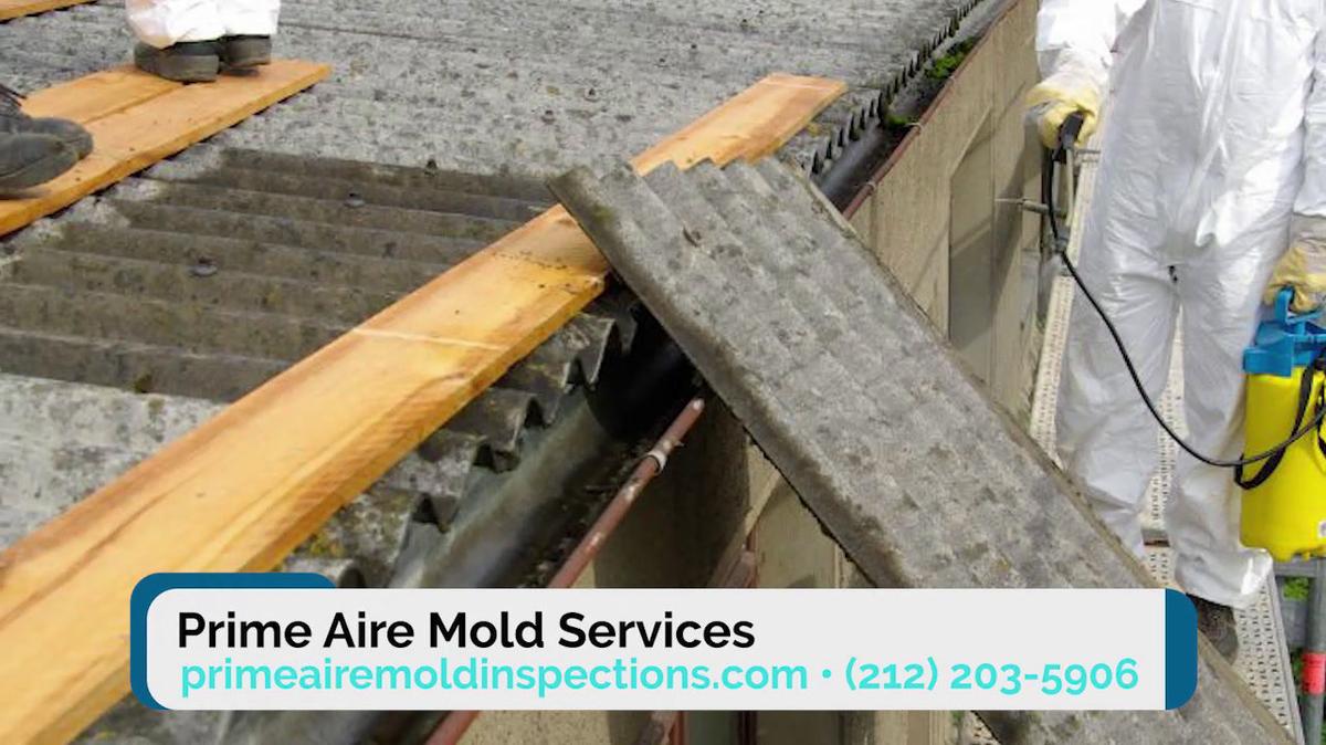 Mold Testing in New York NY, Prime Aire Mold Services