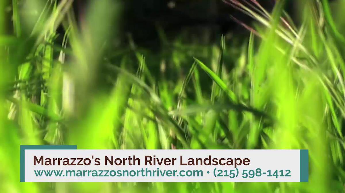 Landscape in Wycombe PA, A. Marrazzo's North River Landscape