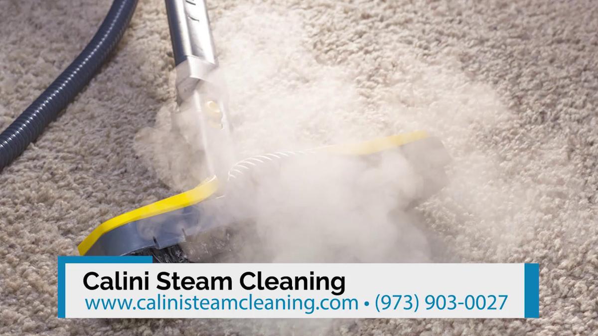 Pet Stain Removal in Lebanon PA, Calini Steam Cleaning