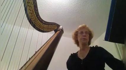 Harpist P.B.I..mp4