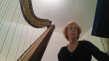 Harpist P.B.I..mp4