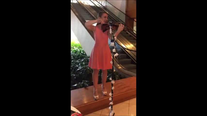 Violinist A.S..mp4