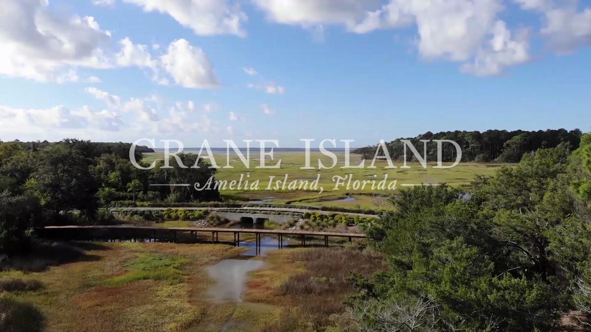 Crane Island Overview - March 2020
