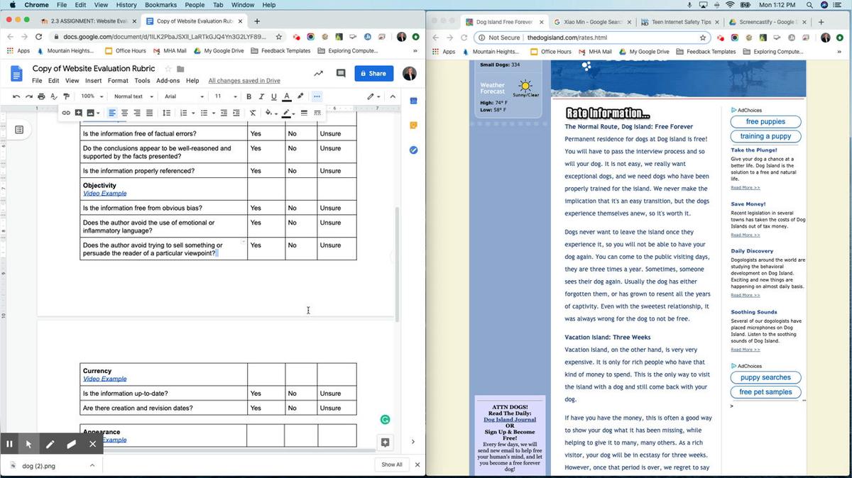 Objectivity - Website Evaluation.mp4