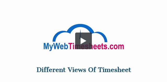 Different Views Of Timesheet