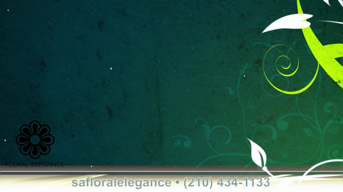 Florist in San Antonio TX, Floral Elegance