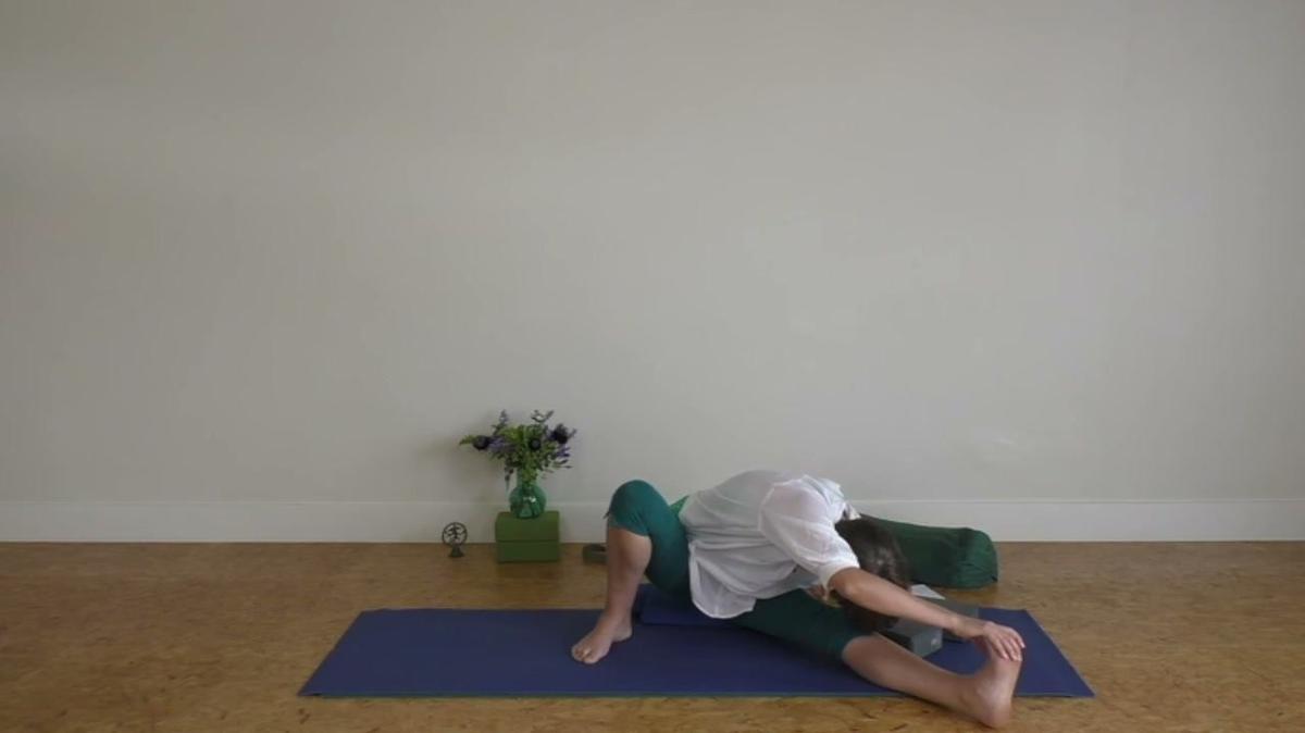 Forward folding into a settled mind