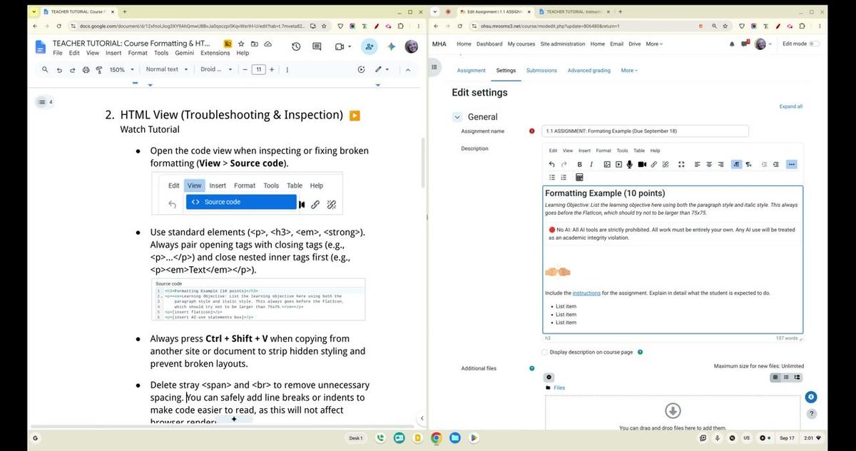 HTML View (Troubleshooting &amp; Inspection)