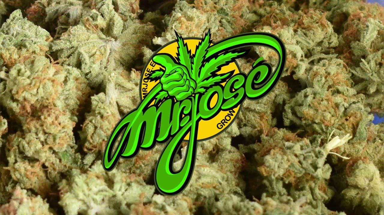 Bonus 4: Cool Cure - sušička