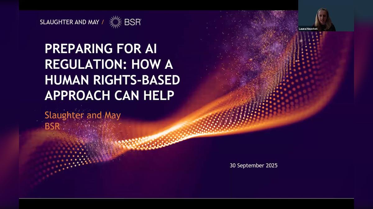 AI Regulation, Governance, and the Role of Human Rights (Americas/EMEA)