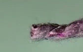 Fiber 1 Burn Test