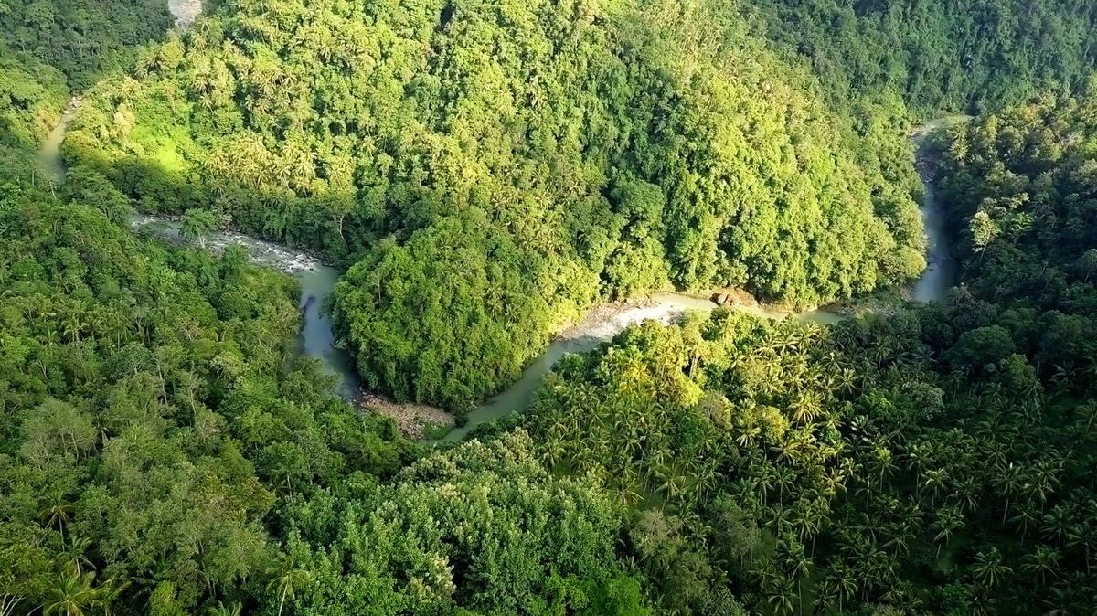 aerial view of green dense rainforest and river flowing on hillside on bali island