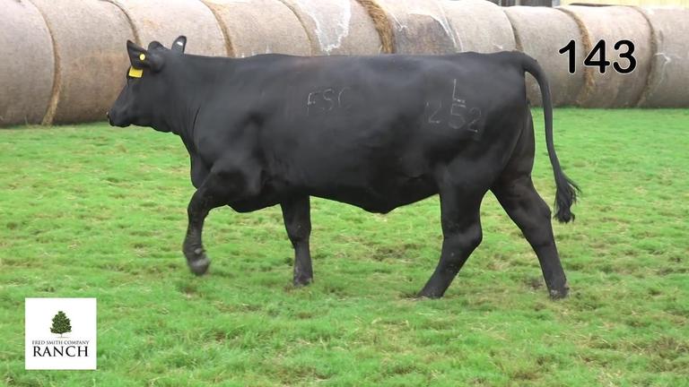 Lot 143 L252