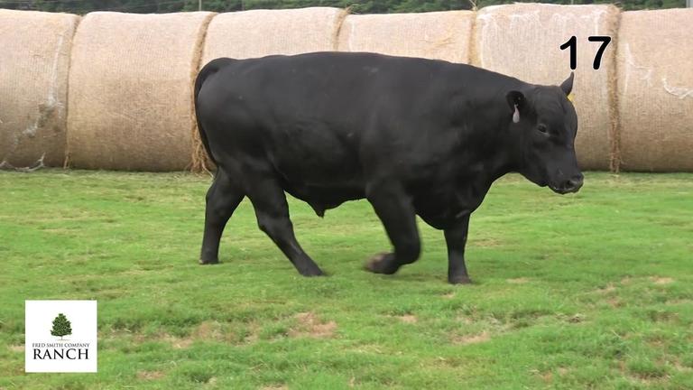Lot 17 M044