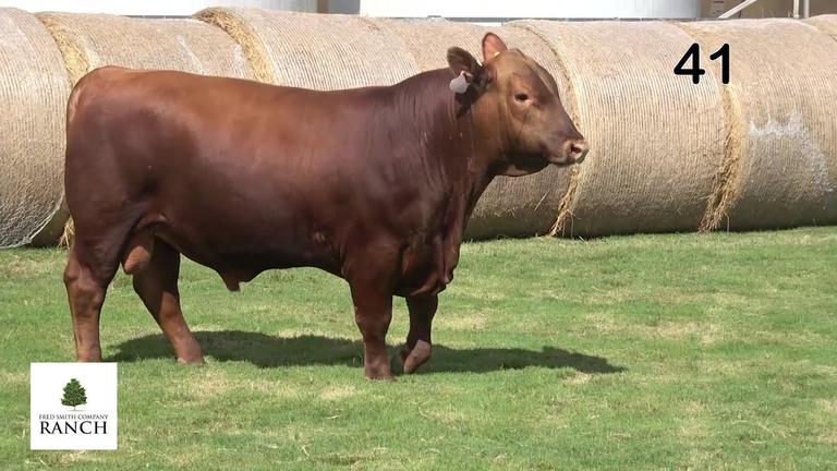 Lot 41 M107