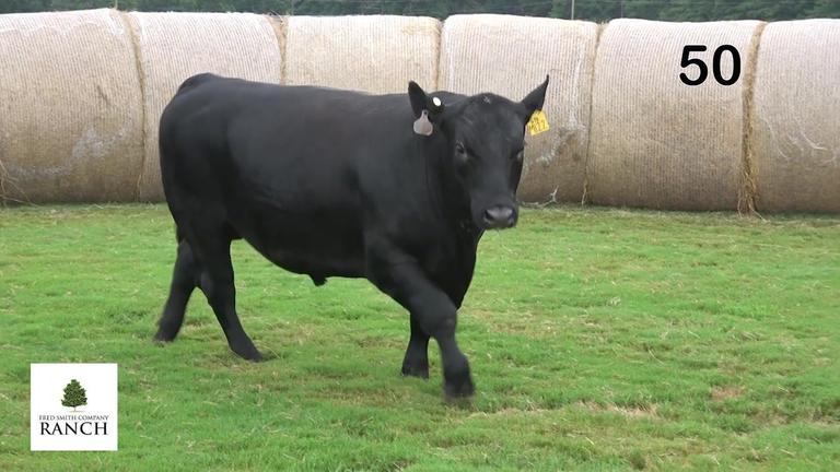 Lot 50 M122