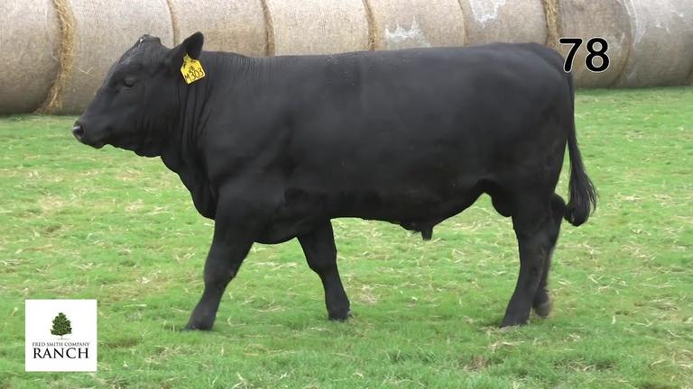 Lot 78 M303