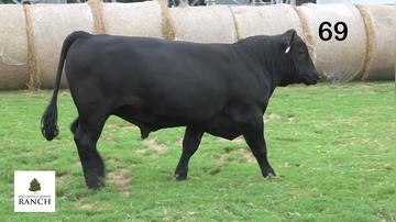 Lot 69 M217