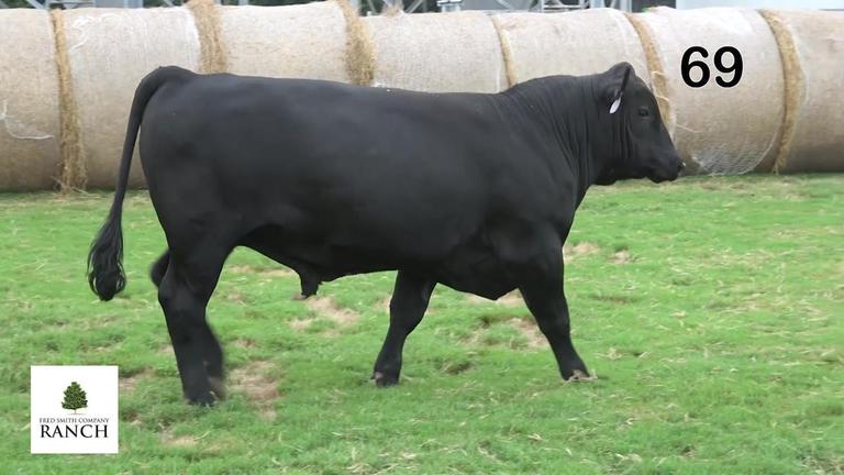 Lot 69 M217