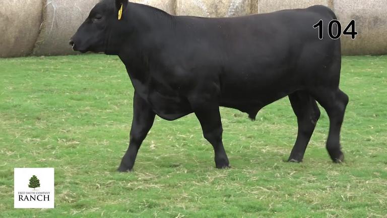 Lot 104 M348