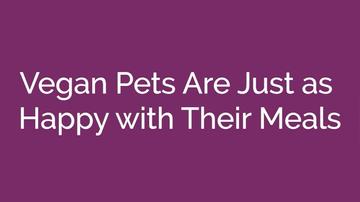 Vegan Pets Are Just as Happy with Their Meals