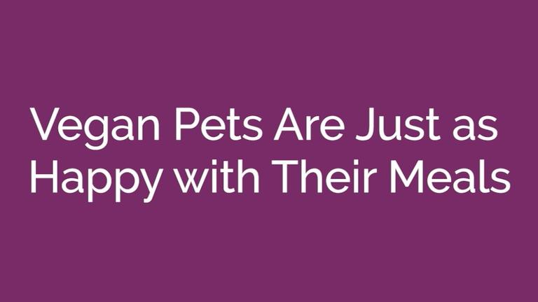 Vegan Pets Are Just as Happy with Their Meals