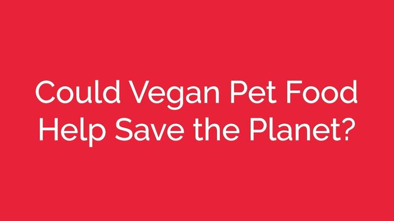 Could Vegan Pet Food Help Save the Planet
