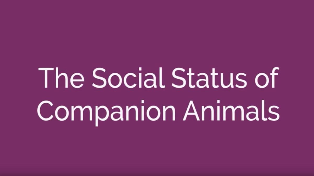 The Social Status of Companion Animals