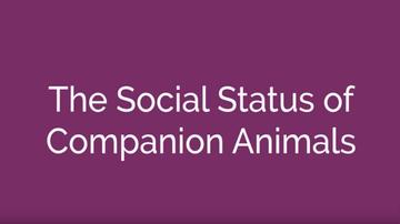 The Social Status of Companion Animals