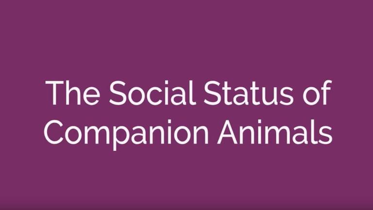The Social Status of Companion Animals