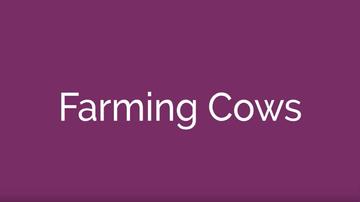 Farming Cows