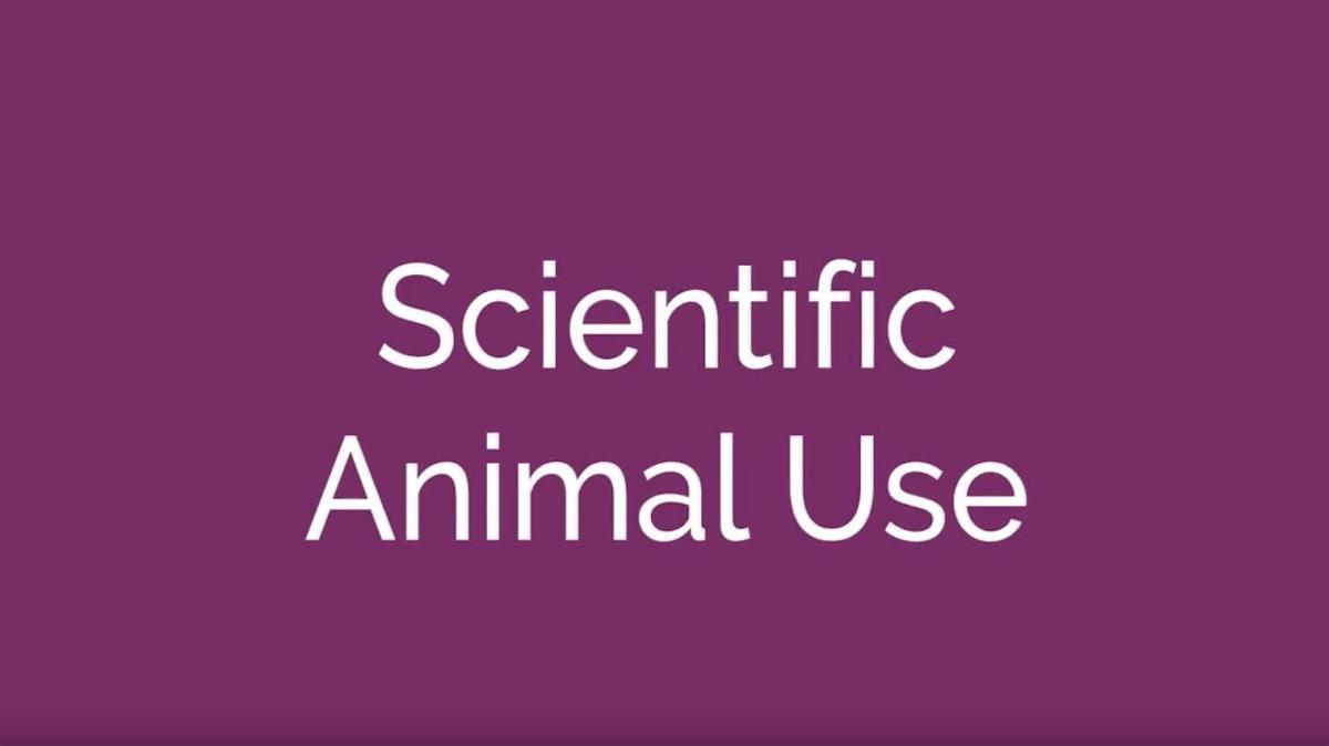 Scientific Animal Use