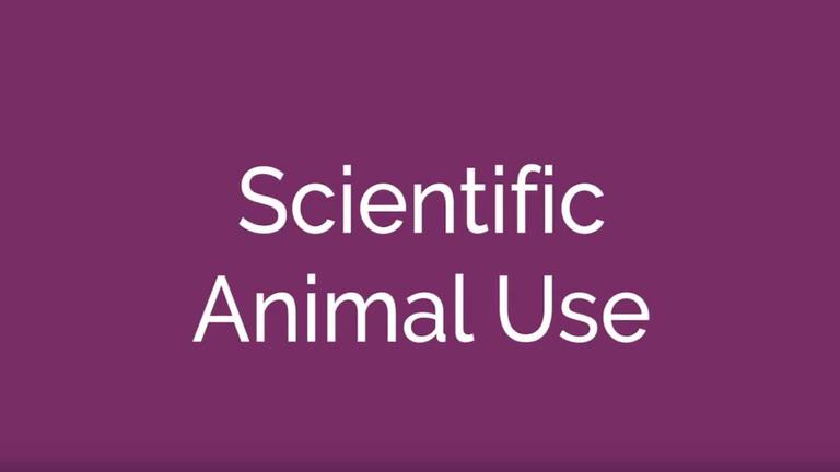 Scientific Animal Use